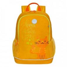 Рюкзак школьный Grizzly RG-163-13 Желтый